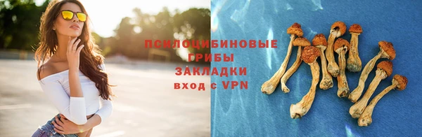 стафф Абаза