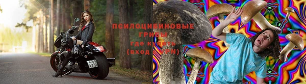 прущие грибы Алексин
