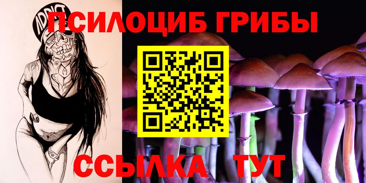 Орск  Псилоцибиновые грибы Cubensis  Вход с VPN 